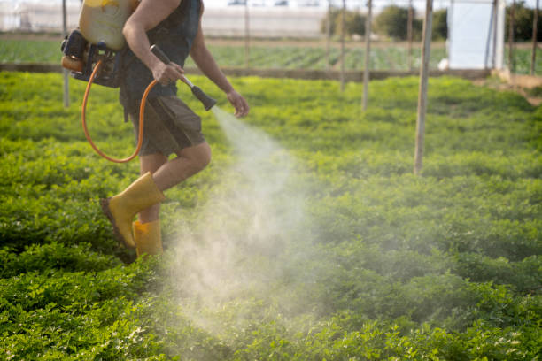 Best Ant Control Services  in Johnstown, CO